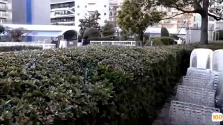 中文字幕久久波多野结衣AV【全国同城约炮APP看视频水印】走到哪儿都是顶流的真正万人迷女神